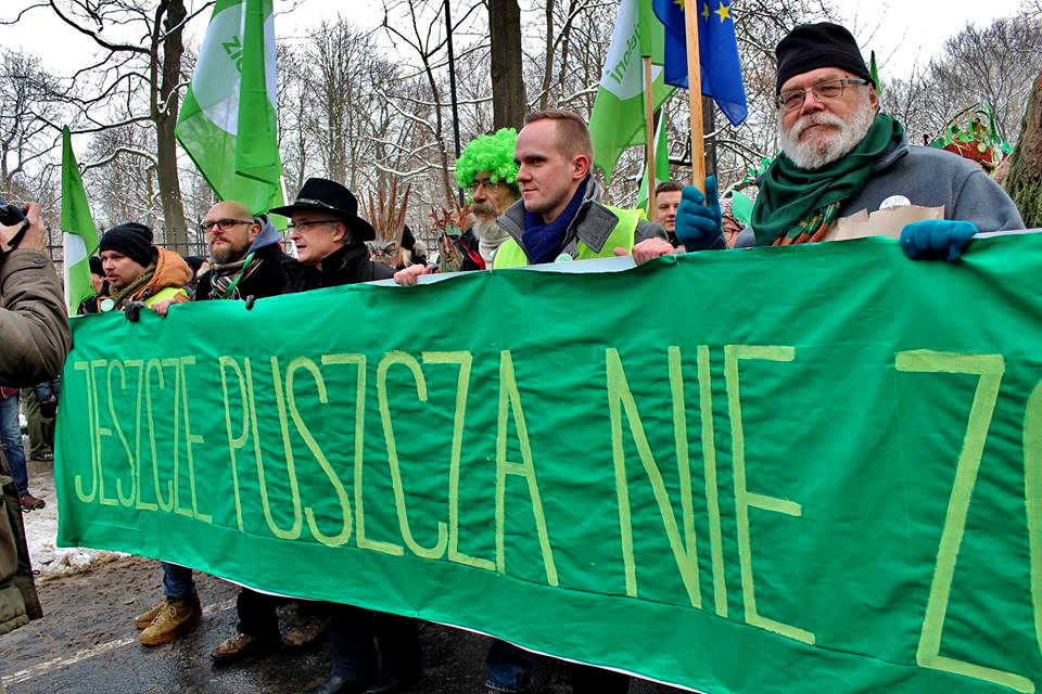 Puszcza Białowieska jest dobrem narodowym - zatrzymajmy jej bezpowrotną dewastację!